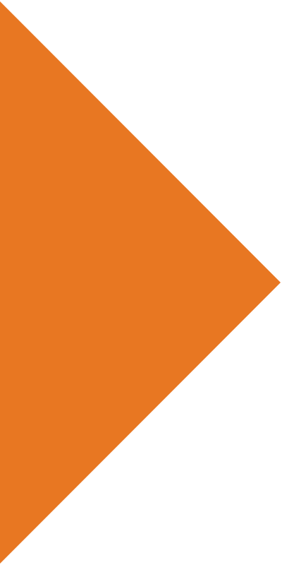 orange triangle