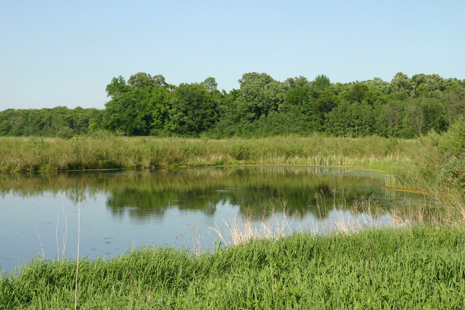 Wetlands