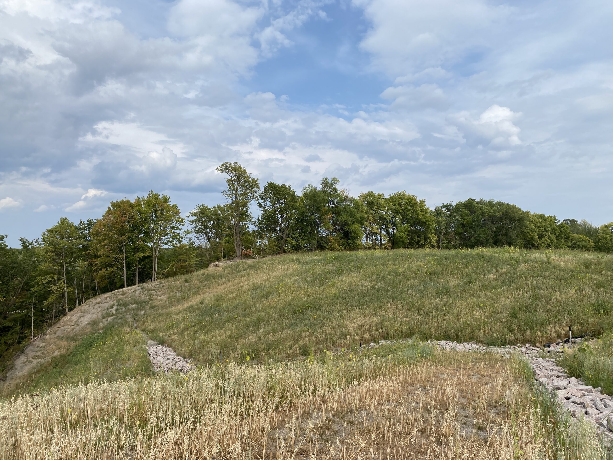 CSAH 12 Drainage Slope