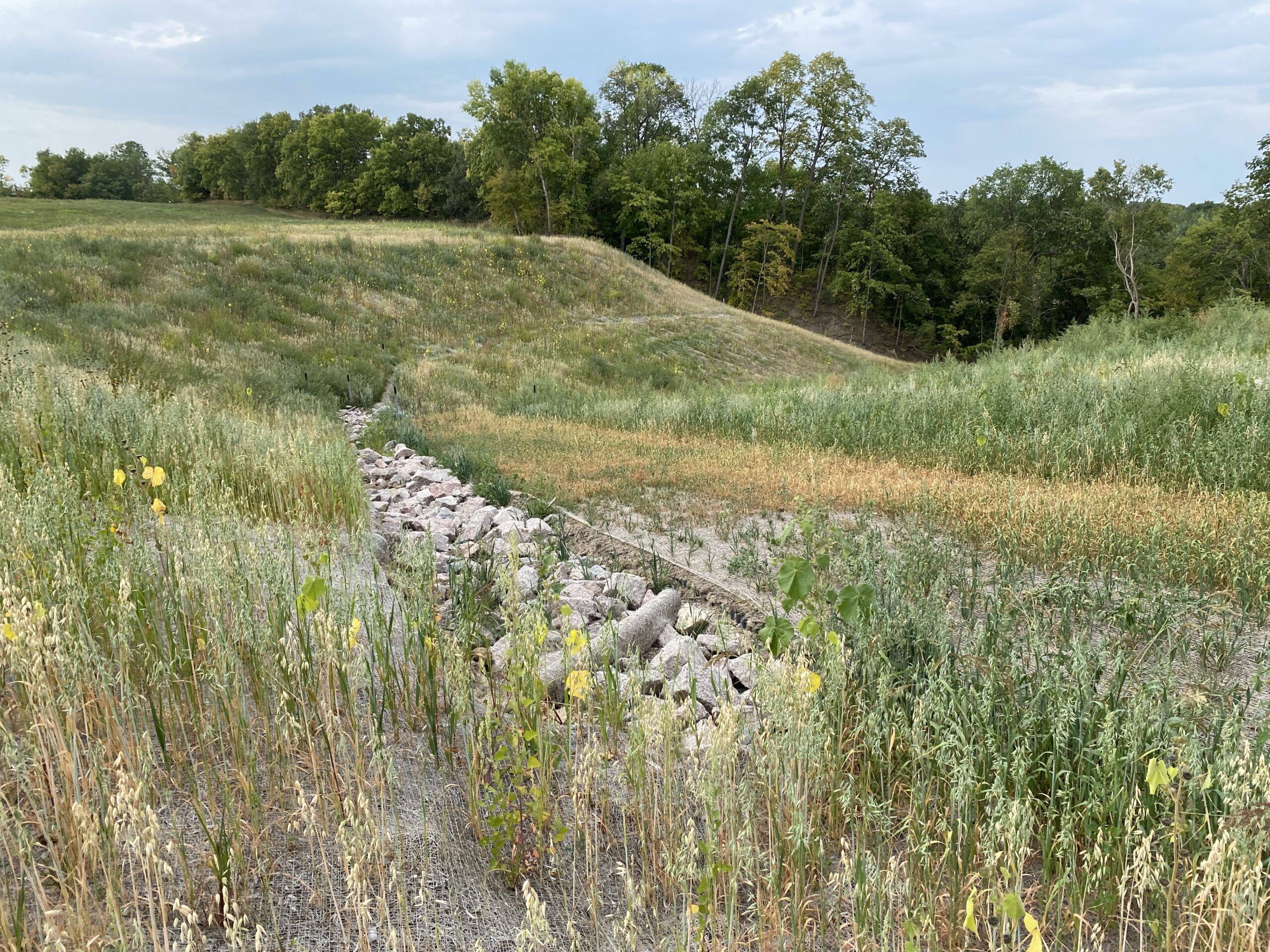 CSAH 12 Drainage Slope