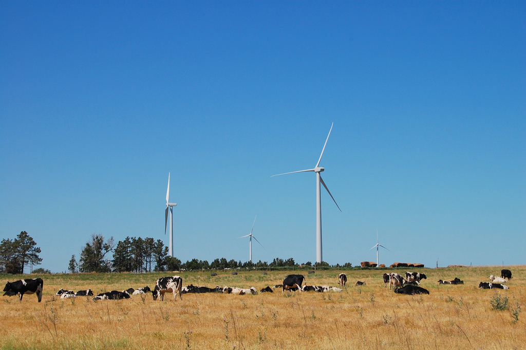 Kit Carson Wind Farm