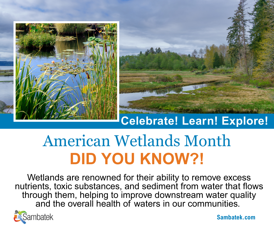 American Wetlands Month: Why Wetland Protection Matters