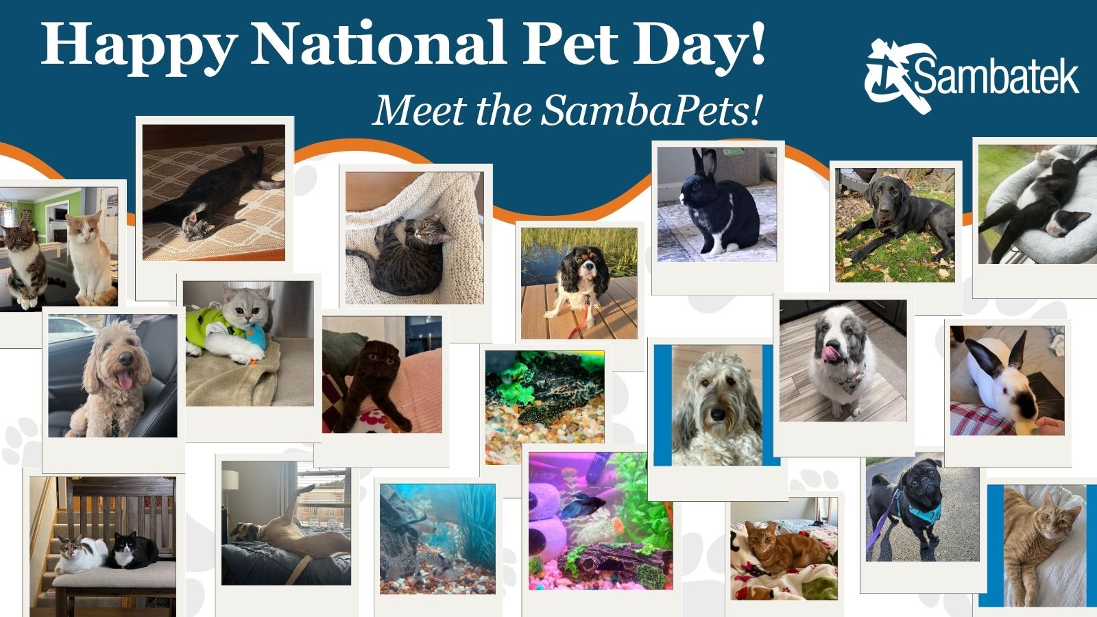 Happy National Pet Day! Meet the SambaPets!